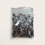 Leopar Gümüş Pul 10 mm 40 Gram